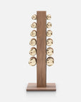 gold dumbbells set with rack