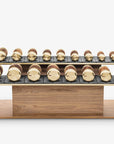 luxury gold dumbbells set