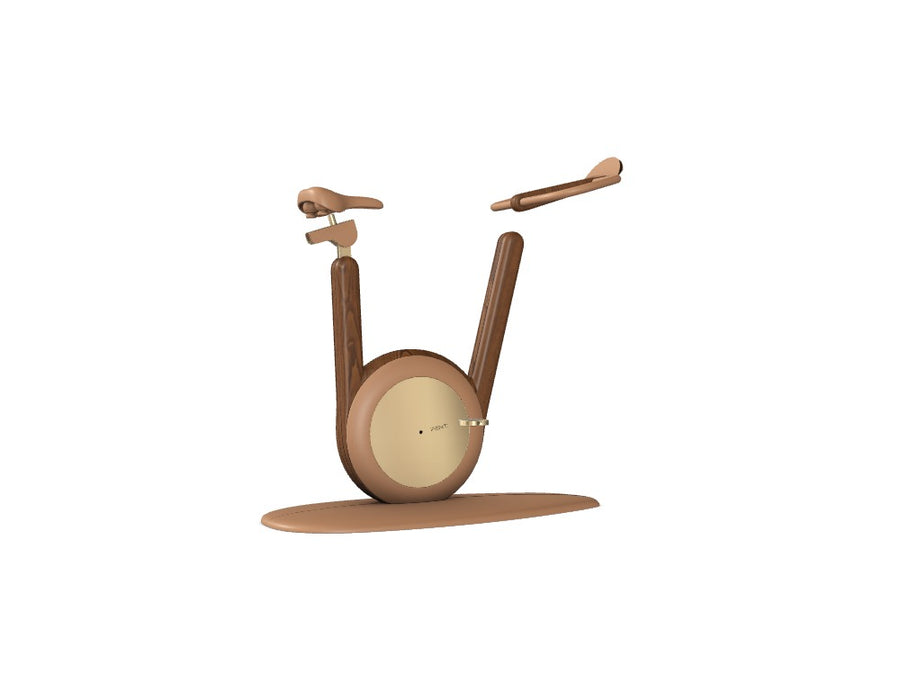 Custom Hania™ Stationary Bicycle - Ref: ZJBFD3