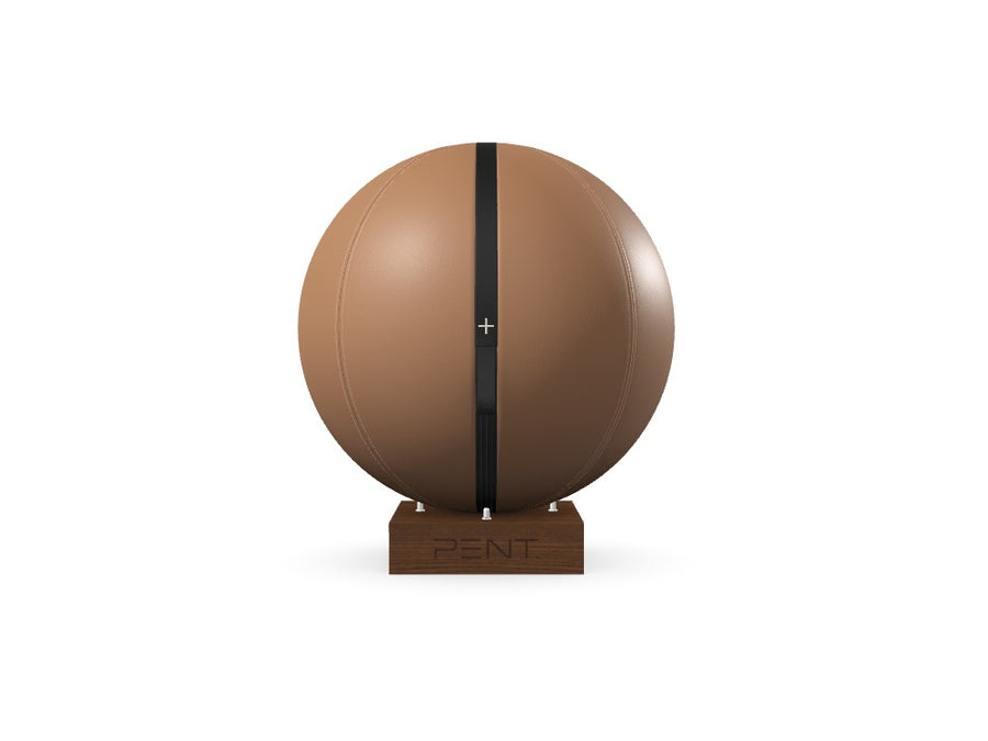 定制MESNA™健身球65 - 参考编号：XG2JSX