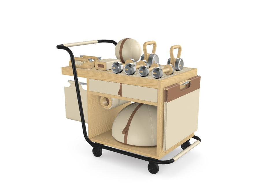 Custom SOPHIA™ Mobile Home & Hotel Gym Set - Ref: 8VOLRR