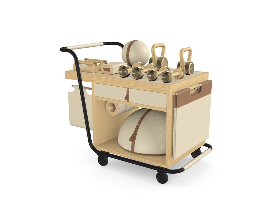 Custom SOPHIA™ Mobile Home & Hotel Gym Set - Ref: FQQT6O