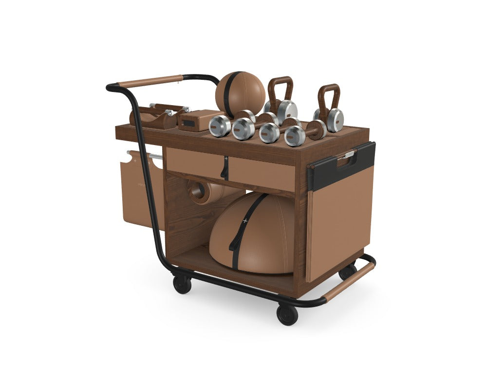 定制 SOPHIA™ 移动家用及酒店健身套装 - 参考号：PZILQQA