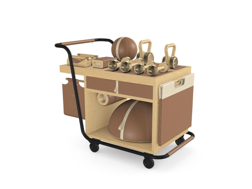 Custom SOPHIA™ Mobile Home & Hotel Gym Set - Ref: W0EAPR