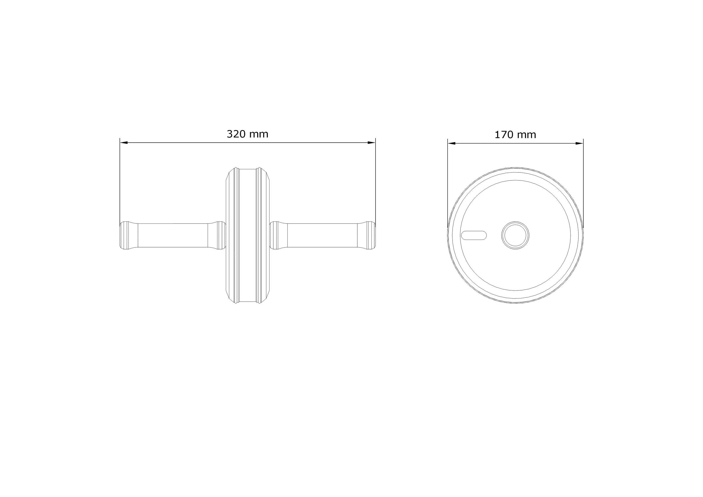 ab roller pent fitness