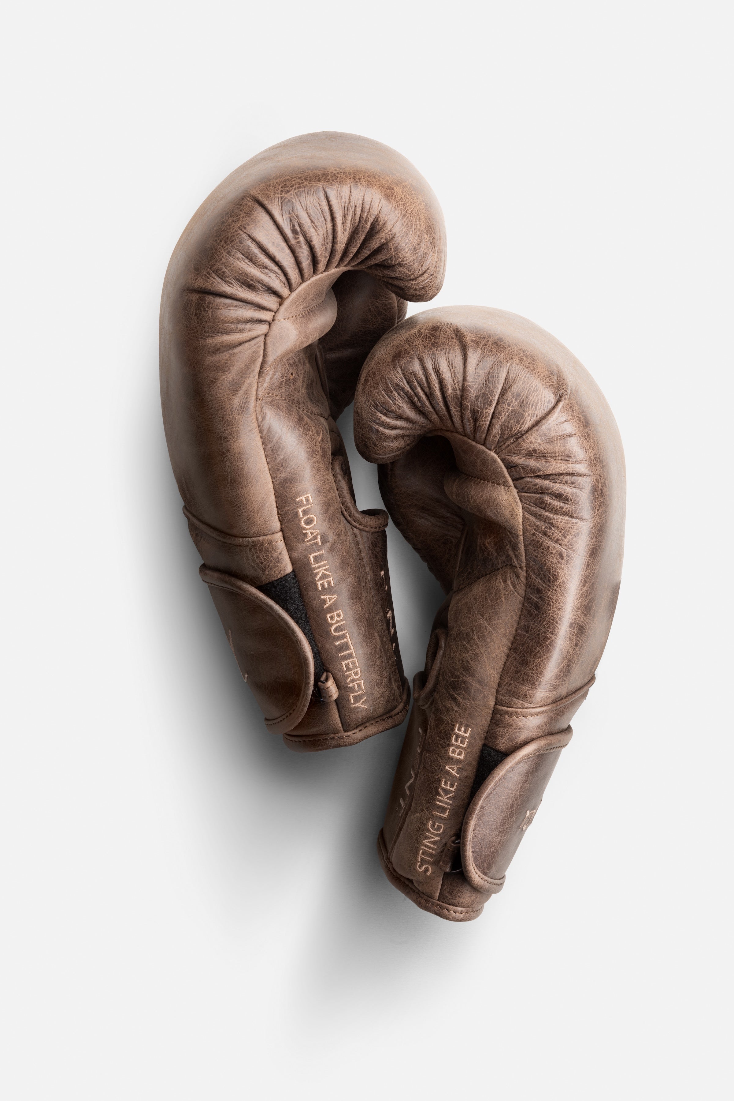 PENT. x Muhammad Ali Boxing Gloves