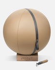 Balón de Fitness de Cuero Premium MESNA™