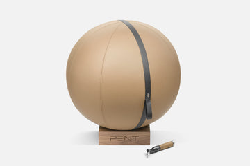 Balón de Fitness de Cuero Premium MESNA™