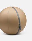 Balón de Fitness de Cuero Premium MESNA™